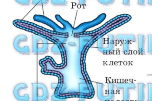 Dark net официальный сайт