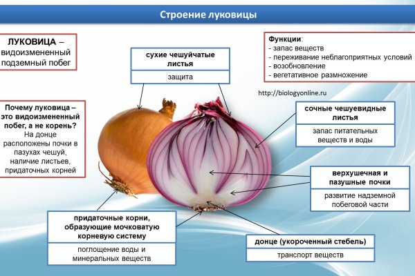 Кракен это гидра