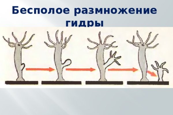 Где купить наркоты