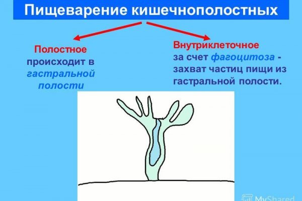 Пользователь не найден при входе на кракен