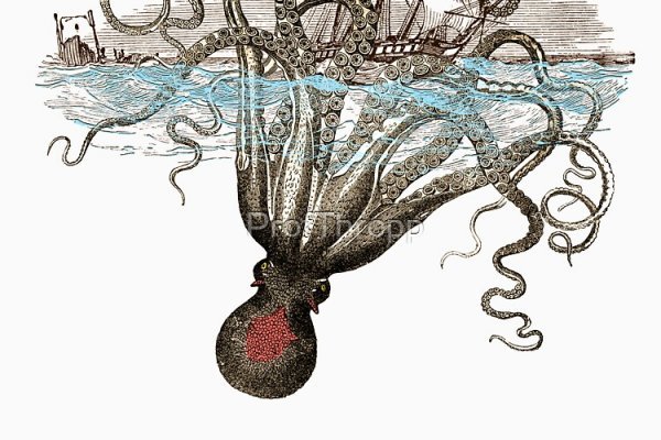 Kraken маркетплейс официальный