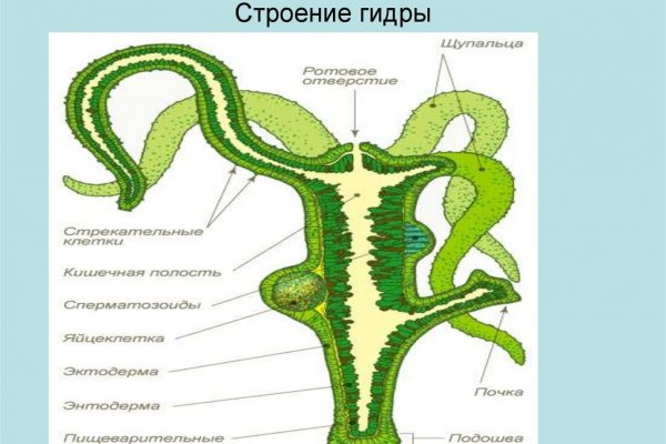 Почему не получается зайти на кракен