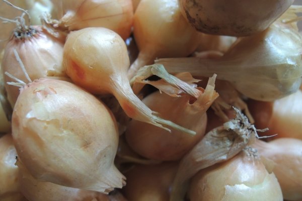 Кракен зеркало onion