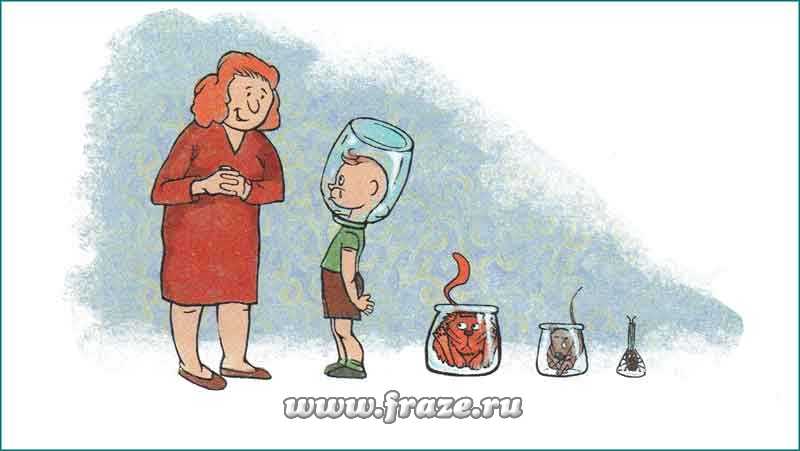 Кракен наркомаркетплейс